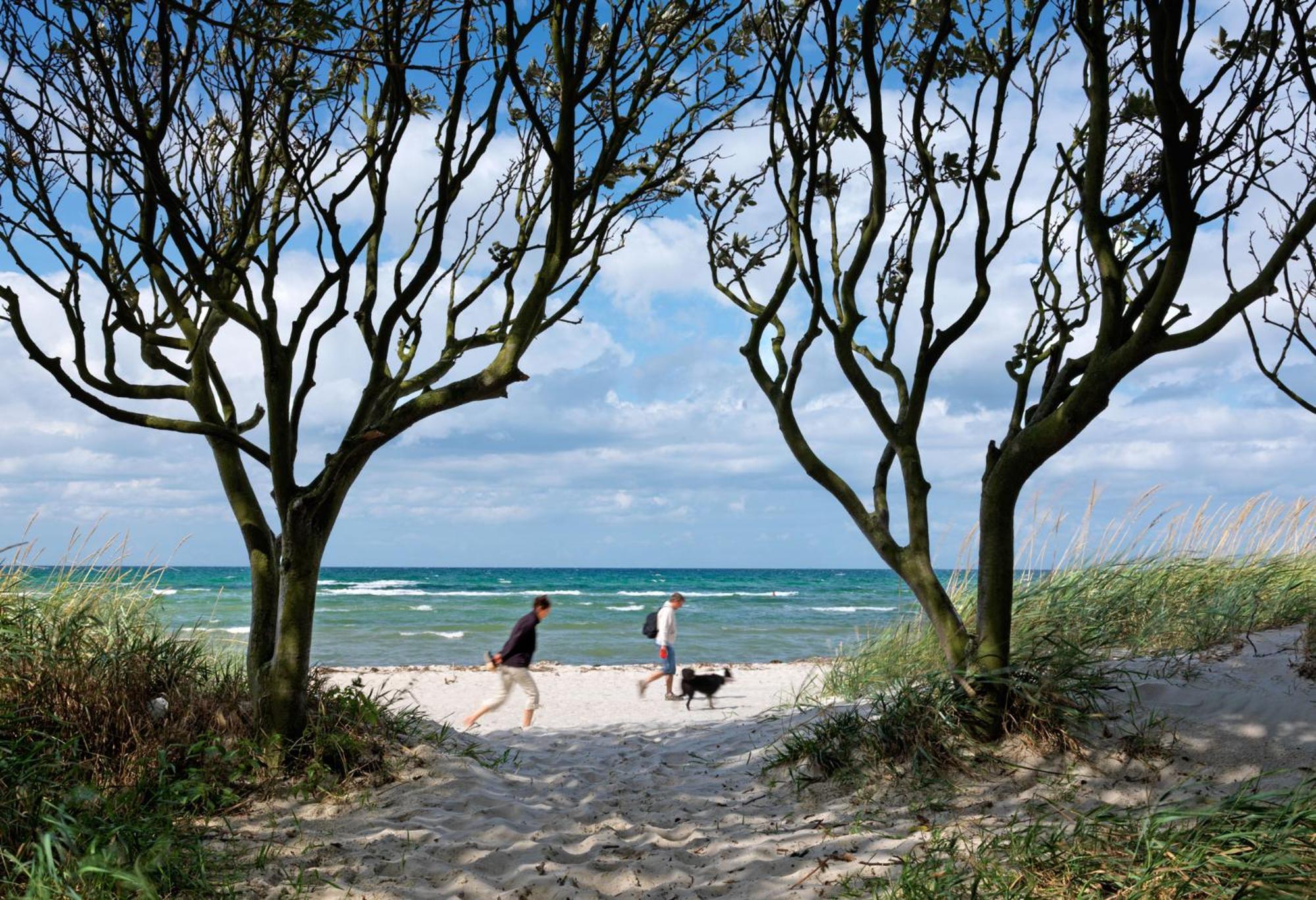 Reihenhaeuser Timmendorf Strand Haus Sonnenaufgang Insel Poel Buitenkant foto